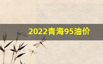 2022青海95油价_青海油价95多少钱
