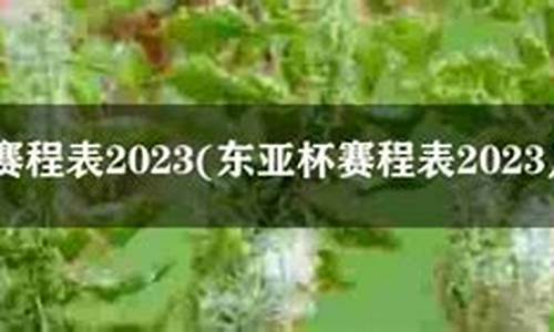 2023东亚杯赛程时间表最新-东亚杯官网