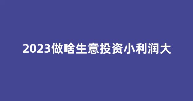 2023做啥生意投资小利润大(2023年做什么生意好)_https://www.wguangz.com_郑商所_第1张