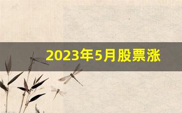 2023年5月股票涨幅排行(2023年5月股票涨幅排行榜前十名)_https://www.taocizhiliang.com_装修流程_第1张