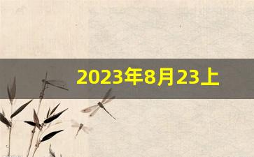 2023年8月23上市新股(8月23日新股申购)_https://www.kairu168.com_中金所_第1张