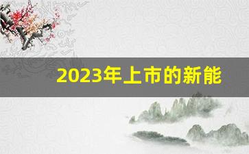 2023年上市的新能源汽车(2023年上市新能源汽车一览表)_https://www.huakunhengjia.com_期货资讯_第1张