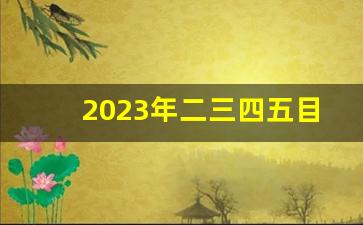 2023年二三四五目标价(二三四五2020年目标价)_https://www.shshucaipeisong.com_科创板_第1张