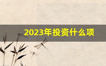 2023年投资什么项目最赚钱(2023年做什么赚钱)_https://www.dcjwmf.com_郑商所_第1张