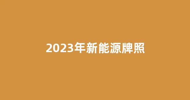 2023年新能源牌照(2023年新能源汽车)_https://www.hn-life.com_深交所_第1张