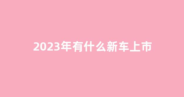 2023年有什么新车上市(2023年有什么新车上市电车呢)_https://www.brunchezvous.com_旅游攻略_第1张