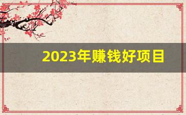 2023年赚钱好项目(2023年赚钱项目有哪些)_https://www.wanyuyiyao.com_上交所_第1张