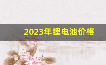2023年锂电池价格走势(2023年锂电池价格走势分析)_https://www.eamstsz.com_创业板_第1张