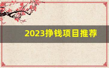 2023挣钱项目推荐(2023年最挣钱的项目)_https://www.wguangz.com_大商所_第1张