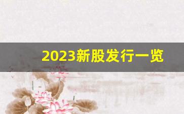 2023新股发行一览表(2023新股发行一览表东方财富)_https://www.brunchezvous.com_自由行_第1张