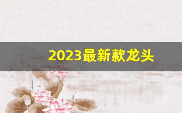 2023最新款龙头(2022年龙头股票)_https://www.nalian8.com_创业板_第1张