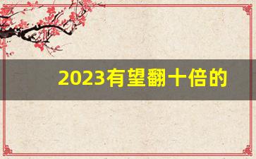 2023有望翻十倍的低价股雪球_https://www.erdeww.com_期货资讯_第1张