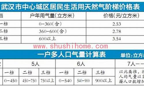 武汉天然气公司天然气价格_2023武汉天