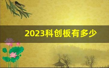 2023科创板有多少只股票呢(2021年科创板机会)_https://www.fzdzcxj.com_科创板_第1张