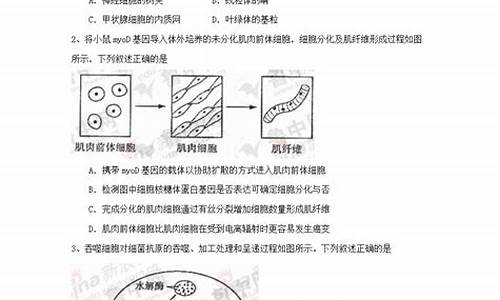 2020山东新高考理综,2024山东高考理综