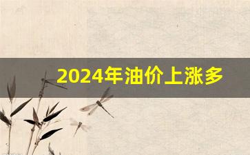 2025油价-2024年油价上涨多少