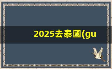2025去泰國(guó)需要簽證嗎現(xiàn)在(2025去泰國(guó)需要簽證嗎現(xiàn)在可以去嗎)