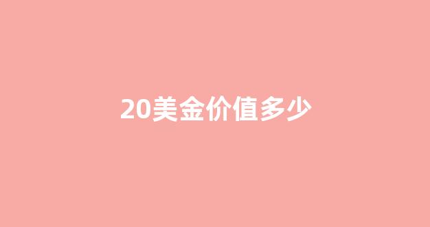 20美金价值多少_20美金价值多少人民币