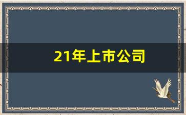 21年上市公司(21年上市公司内部控制被出具否定意见的公司)_https://www.gfdzclz.com_上交所_第1张