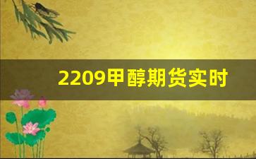 2209甲醇期货实时行情(甲醇2201期货行情)_https://www.erdeww.com_期货_第1张