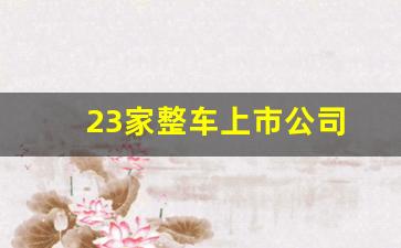 23家整车上市公司(23家整车上市公司)_https://www.dcjwmf.com_大商所_第1张