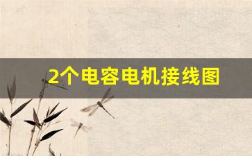 2个电容电机接线图(两个电容的两相电机实物连接图)_https://www.eamstsz.com_上交所_第1张