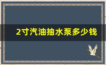 2寸汽油抽水泵多少钱_抽水用的汽油泵多少钱