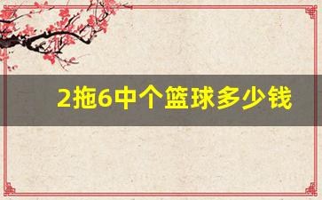 2拖9中2胆3拖加篮球-2拖6中个篮球多少钱