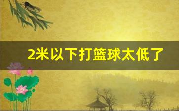 2米以下打篮球太低了-2米33篮球
