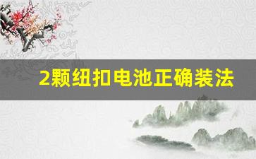2颗纽扣电池正确装法(两颗纽扣电池怎么装)_https://www.eamstsz.com_深交所_第1张
