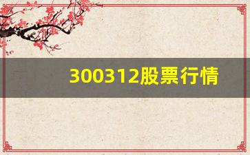 300312股票行情(300322股票行情)_https://www.eamstsz.com_上交所_第1张