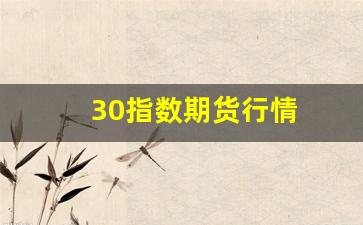 30指数期货行情(期货 指数)_https://www.senxinmaoyi.com_物流查询_第1张