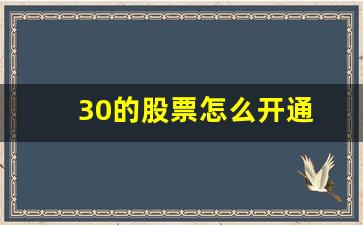 30的股票怎么开通(300股票如何开户)_https://www.eamstsz.com_创业板_第1张