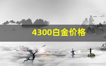 4300白金价格_白金多少钱1g