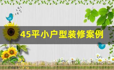 45平小户型装修案例图-45平小户型装修案例