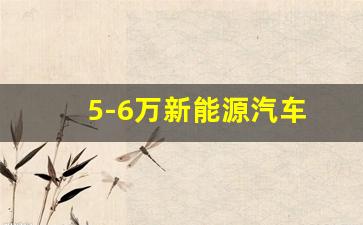 5-6万新能源汽车(5一6万新能源新车大全价格)_https://www.nalian8.com_科创板_第1张