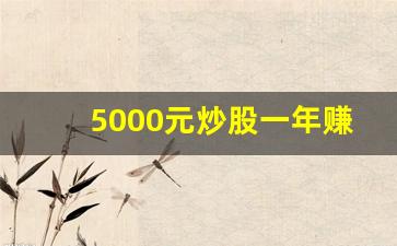 5000元炒股一年赚多少钱(5000元炒股能发财吗)_https://www.heiljjianzu.com_科创板_第1张
