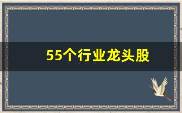 55个行业龙头股(行业龙头股一览表2024)_https://www.gzyhshgzzx.com_广期所_第1张
