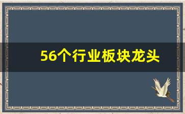 56个行业板块龙头(56个行业板块龙头股票)_https://www.kairu168.com_广期所_第1张