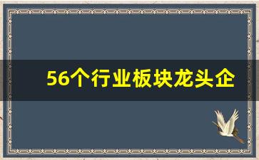 56个行业板块龙头企业(56个行业板块明细)_https://www.gfdzclz.com_深交所_第1张