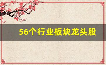 56个行业板块龙头股排名(股票中的56个行业板块龙头股)_https://www.kairu168.com_广期所_第1张