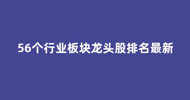 56个行业板块龙头股排名最新(各个行业板块龙头股)_https://www.dcjwmf.com_上期所_第1张