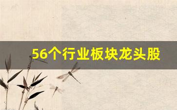 56个行业板块龙头股票排名_https://www.haiwangdasha.com_科创板_第1张