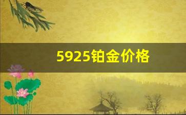 9995铂金价格_5925铂金价格
