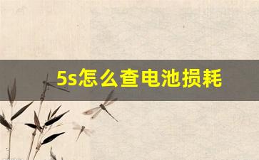 5s怎么查电池损耗(5s怎么查看电池损耗)_https://www.nalian8.com_创业板_第1张