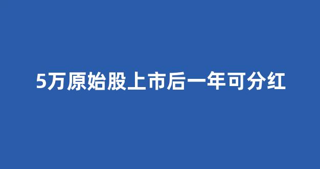 5万原始股上市后一年可分红(公司上市买了5万原始股)_https://www.kairu168.com_上期能源_第1张