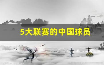五大联赛哪些球队是中国老板-5大联赛的中国球员