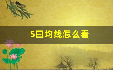 5曰均线怎么看(五日均线怎么看)_https://www.shshucaipeisong.com_上交所_第1张