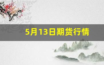5月13日期货行情(2021年5月13日期货)_https://www.jianghaiboli.com_期货_第1张