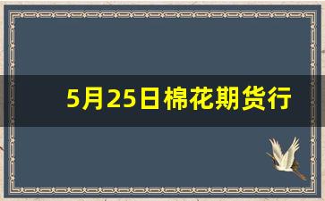 5月25日棉花期货行情(2020棉花期货行情)_https://www.gfdzclz.com_深交所_第1张